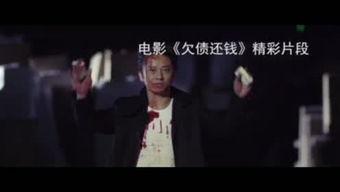 同居小妹在线视频播放,私密生活片段在线播放揭秘